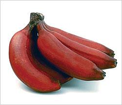 Red Banana fruit 1 lb