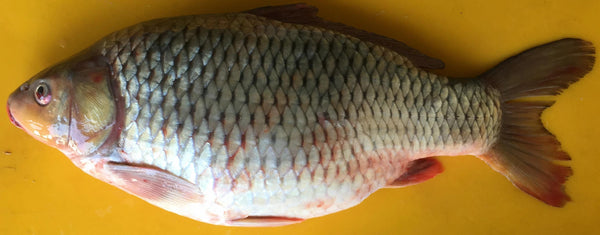 Carfu Fish Whole