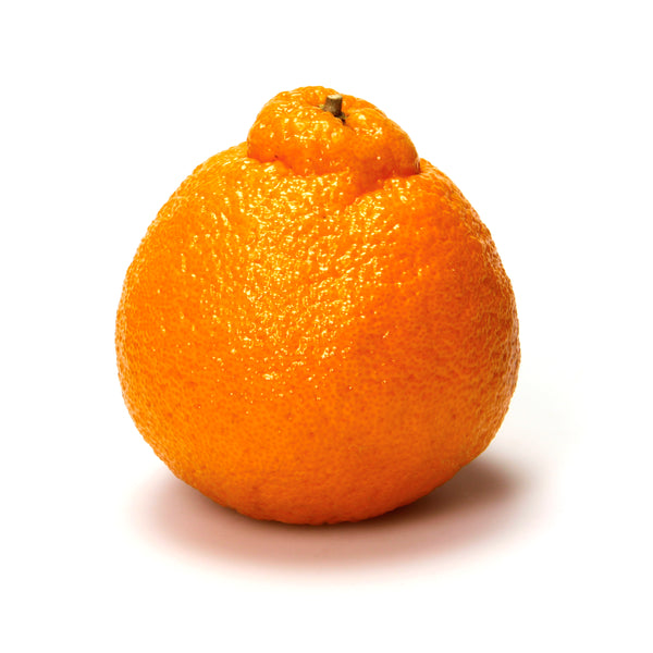 Tangerine Loose 1 lb