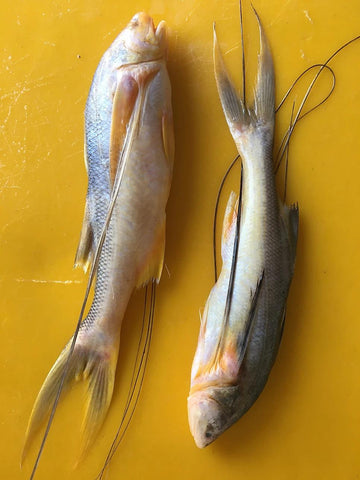 Fresh Water Fish | Desi Bazar Desi Kitchen